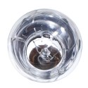 Repti-Zoo Neodymium Daylight 35W - żarówka grzewcza neodymowa Repti-Zoo