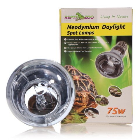 Repti-Zoo Neodymium Daylight 75W - żarówka grzewcza neodymowa Repti-Zoo