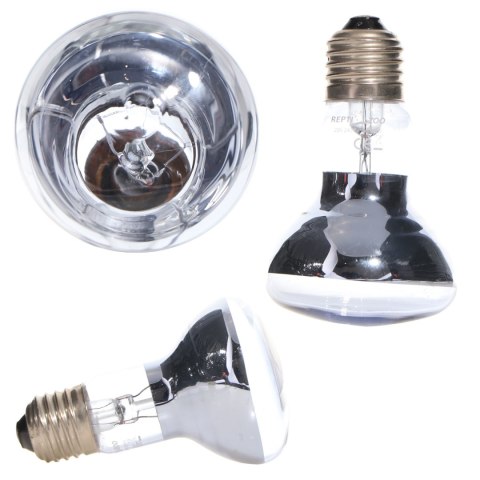 Repti-Zoo Neodymium Daylight 75W - żarówka grzewcza neodymowa Repti-Zoo