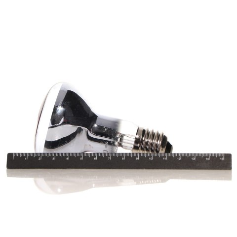 Repti-Zoo Neodymium Daylight 75W - żarówka grzewcza neodymowa Repti-Zoo