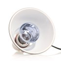 Repti-Zoo Neodymium Daylight 75W - żarówka grzewcza neodymowa Repti-Zoo