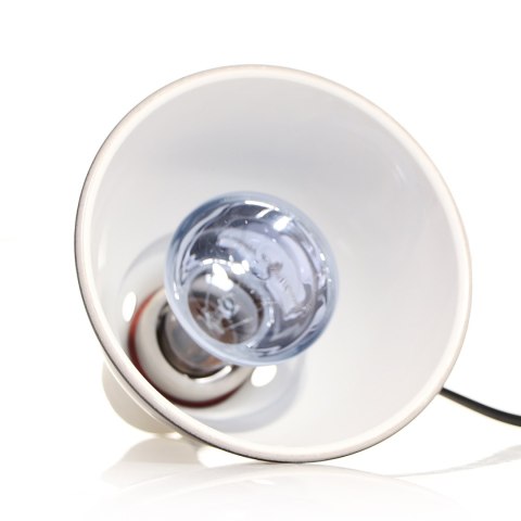 Repti-Zoo Neodymium Daylight 75W - żarówka grzewcza neodymowa Repti-Zoo