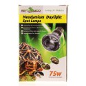Repti-Zoo Neodymium Daylight 75W - żarówka grzewcza neodymowa Repti-Zoo