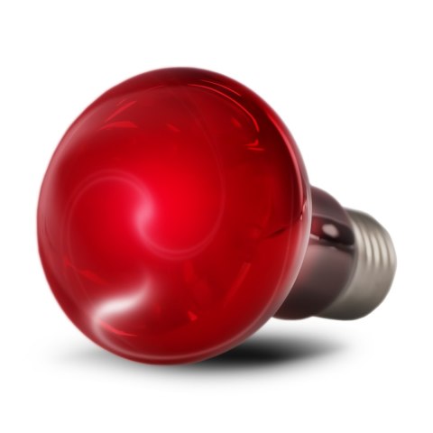 Resun Infrared Spot Lamp 50W - żarówka podczerwona Resun