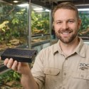 Terrario AeroTherm 16W - panel grzewczy do terrarium Terrario