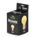 Terrario Bogande Basking Sun Light - żarówka grzewcza 25W Terrario