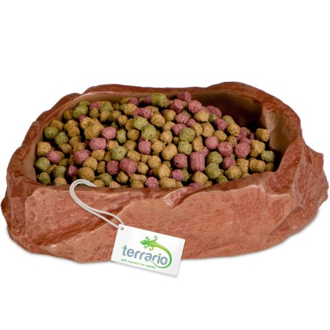 Terrario Natural Bowl M - Miska do Terrarium 11,5x9x3 cm Terrario