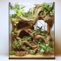 Terrario Rustic Wood Bowl - Miska do Terrarium 12x12x3,5 cm Terrario