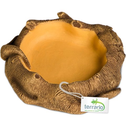 Terrario Rustic Wood Bowl - Miska do Terrarium 12x12x3,5 cm Terrario