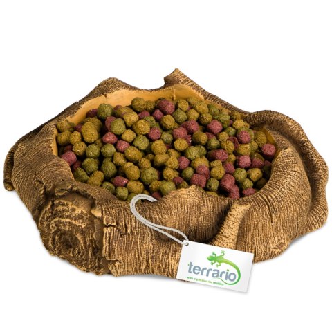 Terrario Rustic Wood Bowl - Miska do Terrarium 12x12x3,5 cm Terrario