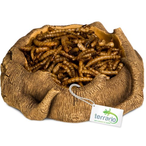 Terrario Rustic Wood Bowl - Miska do Terrarium 12x12x3,5 cm Terrario