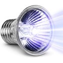 Terrario Tayenna 25W - mini halogen UVB Terrario