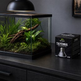 Terrario Tayenna 50W - mini halogen UVB Terrario