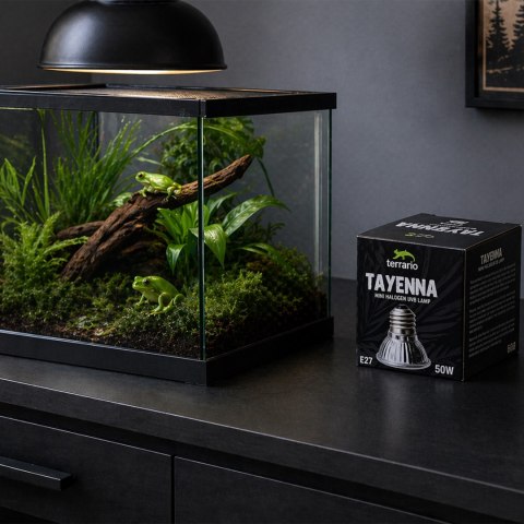 Terrario Tayenna 50W - mini halogen UVB Terrario