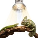 Terrario Tayenna 50W - mini halogen UVB Terrario
