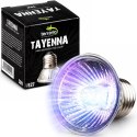 Terrario Tayenna 50W - mini halogen UVB Terrario