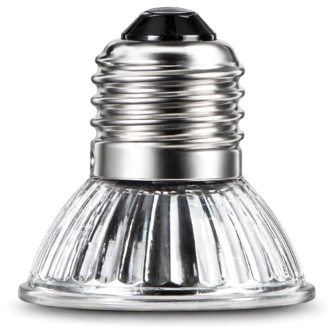 Terrario Tayenna 50W - mini halogen UVB Terrario