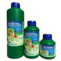 Zoolek Antyglon 1000ml (preparat na glony) Zoolek