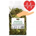 Alegia - codzienne zioła dla Żółwi 80g Alegia