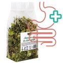 Alegia - codzienne zioła dla Żółwi 80g Alegia