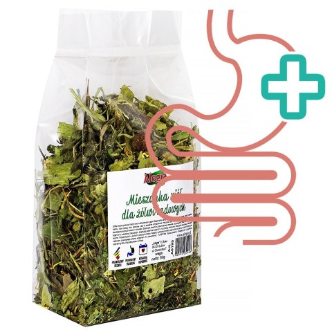 Alegia - codzienne zioła dla Żółwi 80g Alegia