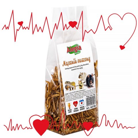Alegia - larwy mącznika 60g Alegia