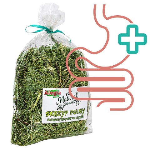 Alegia - skrzyp polny 70g Alegia