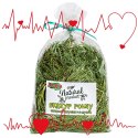 Alegia - skrzyp polny 70g Alegia