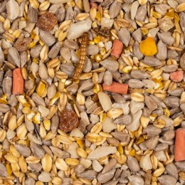 Deli Nature Booster Mix 850g - pokarm z witaminami dla ptaków zimujących Deli Nature