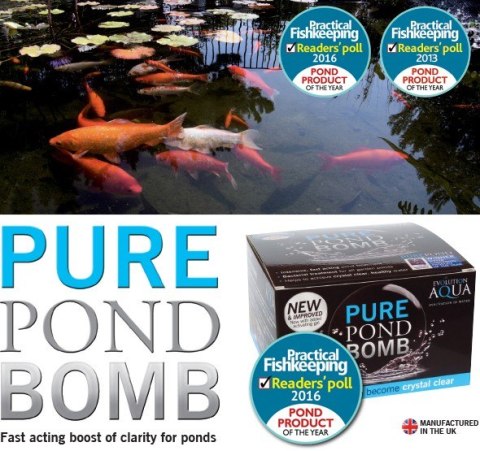 Evolution Aqua PURE Pond Bomb - bakterie do oczka Evolution