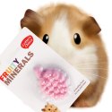HappyPet Fruity Minerals 30g - kostka wapienna winogronowa Happypet