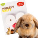 HappyPet Wheely Salty - sól z uchwytem dla gryzoni Happypet