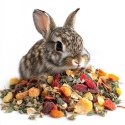 Herbal Pets - Karma Ziołowo-Owocowa dla Szynszyli 150g Herbal Pets