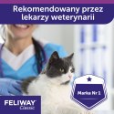 Ceva Animal Health Polska Sp. Z O.o Feliway Classic Wkład Dyfuzora 48ml Ceva Animal Health Polska Sp. z o.o.