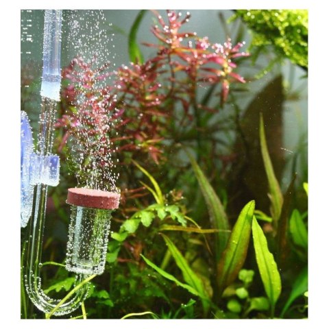 Chihiros Nano CO2 Diffuser M - dyfuzor CO2 akrylowy Chihiros