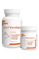 Dolfos Dolvit Karnityna 90 Tabletek Dolfos
