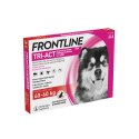 FRONTLINE Tri-Act Dla Psów 3x6ml Frontline (Boehringer Ingelheim)