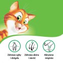 KITEKAT Sucha Karma Dla Kotów Z Kurczakiem I Warzywami 12kg Kitekat
