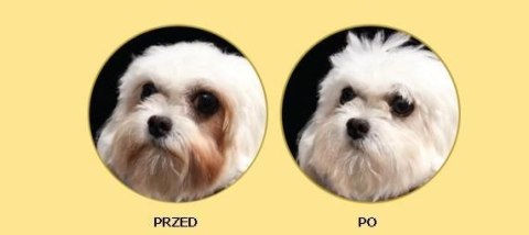Nature's Protection Superior Care White Dogs Adult Small Breeds With Lamb 10kg Nature's Protection
