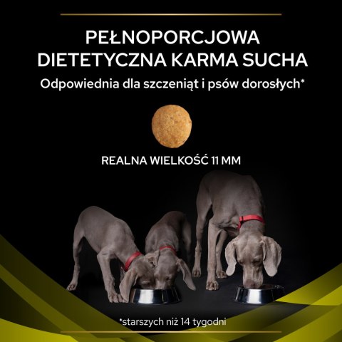 PURINA Pro Plan Veterinary Diets HP Hepatic 3kg PRO PLAN Veterinary Diets