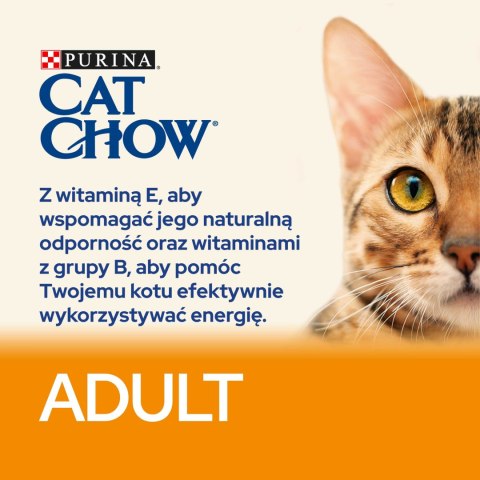 Purina Cat Chow Adult Chicken And Rice 15kg Purina Cat Chow