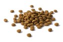 Purina Cat Chow Adult Chicken And Rice 15kg Purina Cat Chow