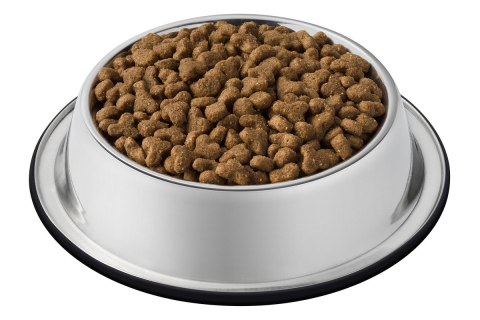 Purina Cat Chow Adult Duck 15kg Purina Cat Chow
