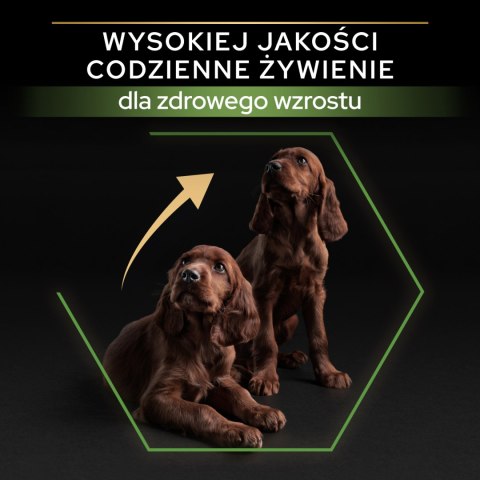 Purina Pro Plan Large Puppy Athletic Optistart Kurczak I Ryż 12kg Purina Pro Plan