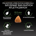 Purina Pro Plan Large Puppy Athletic Optistart Kurczak I Ryż 12kg Purina Pro Plan
