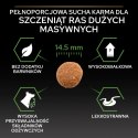 Purina Pro Plan Large Puppy Robust Optistart Kurczak I Ryż 12kg Purina Pro Plan