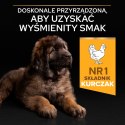 Purina Pro Plan Large Puppy Robust Optistart Kurczak I Ryż 12kg Purina Pro Plan