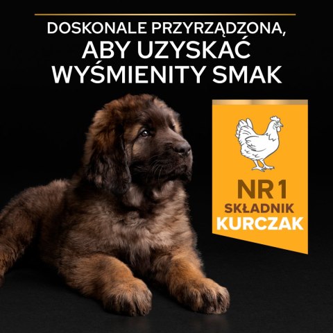 Purina Pro Plan Large Puppy Robust Optistart Kurczak I Ryż 12kg Purina Pro Plan