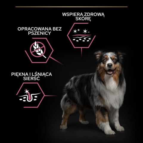 Purina Pro Plan Medium Adult Sensitive Skin Optiderma Łosoś I Ryż 14kg Purina Pro Plan