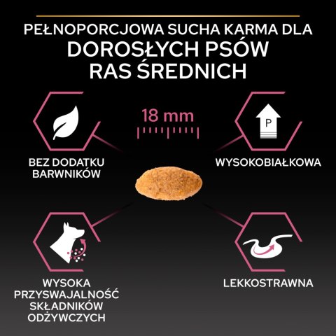 Purina Pro Plan Medium Adult Sensitive Skin Optiderma Łosoś I Ryż 14kg Purina Pro Plan